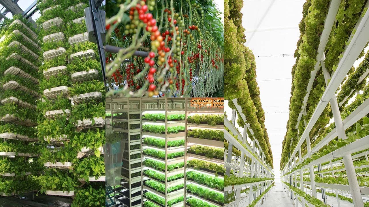 Hi-Tech Agriculture